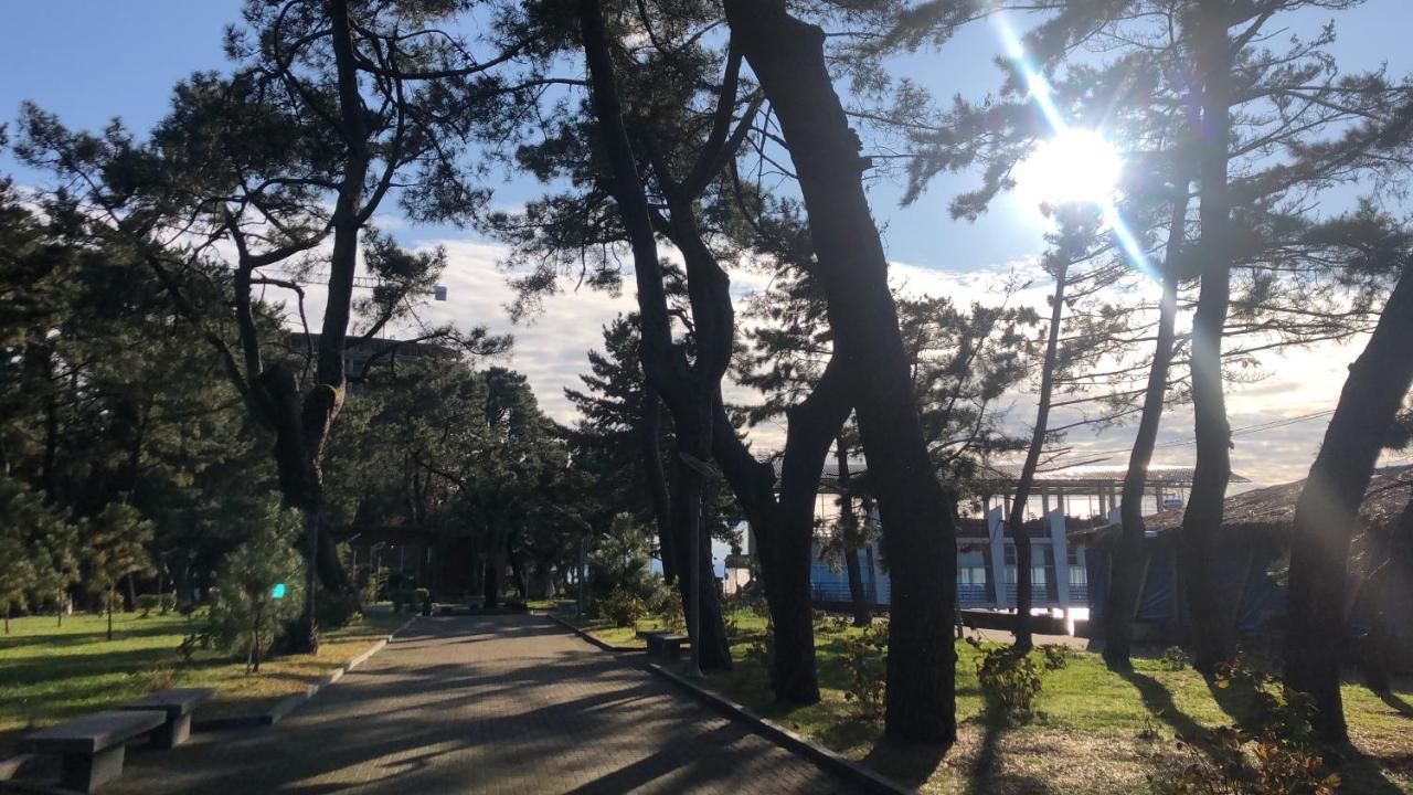 Hotel Palermo Kobuleti ภายนอก รูปภาพ
